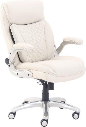 Executive ergonomic office - executive,